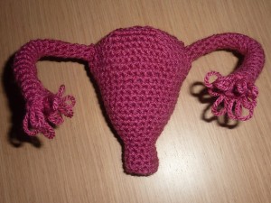 crotchet-uterus