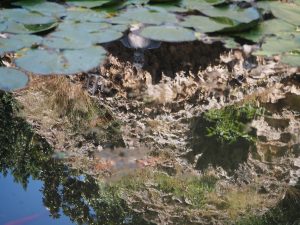 neptune-nympheum-arboretum-trsteno-croatie