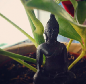 Un bouddah dans ma plante