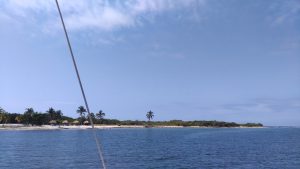 Journée catamaran à Cuba